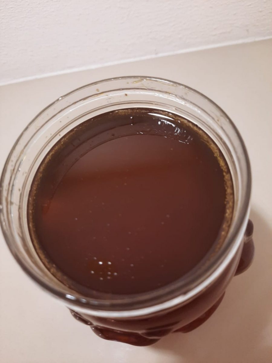 kashtanovii-med00004