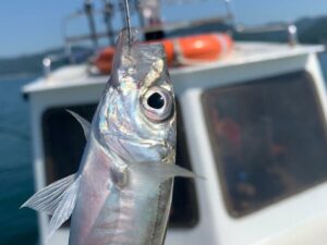 Рыбалка в море