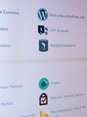 Оптимизация сайта на CMS WordPress