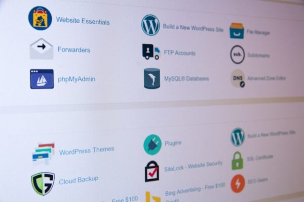 Продвижение сайта SEO