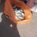 Морская рыбалка с катера Ларсон Сухум Фото от Iceni5 Морская рыбалка с катера Ларсон Сухум
