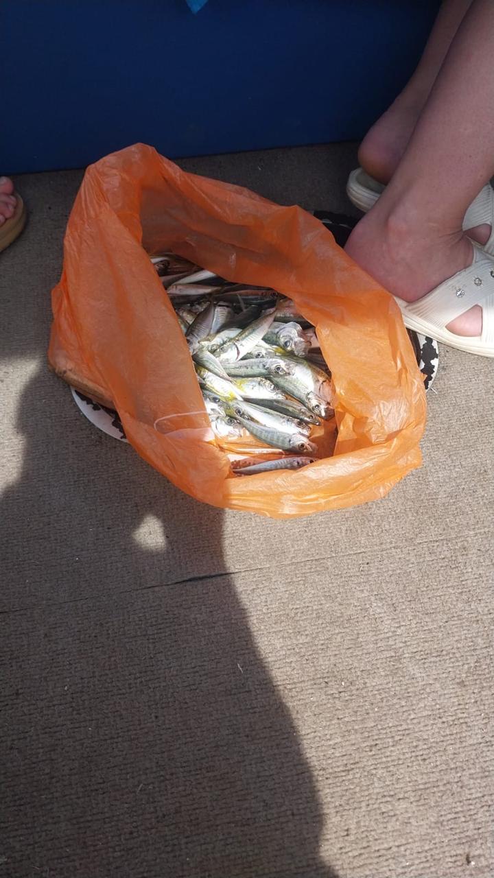 Рыбалка в море