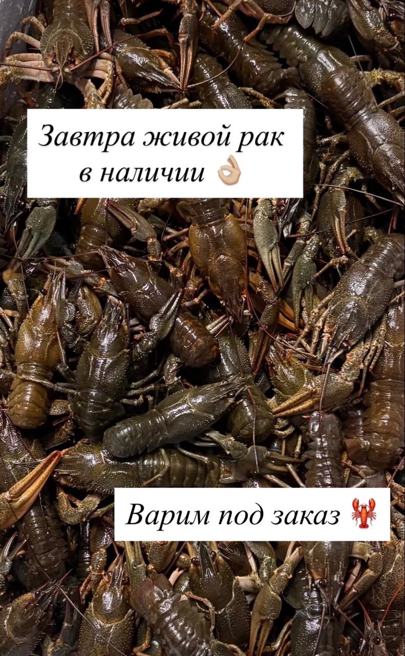 Вареные раки (22-25 шт в кг.) КРУПНЫЕ Вареные раки (22-25 шт в кг.) КРУПНЫЕ